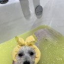 양덕동275 이미지