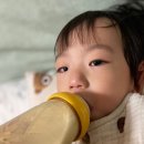 합리적인 수입분유 아이엠뉴질랜드 아기변비로 소화잘되는분유 찾으신다면 추천!