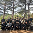 대관령 치유의 숲 이미지