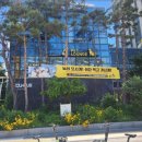 라운지펫 네이버블로그