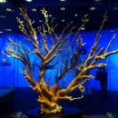 산호빌딩 이미지