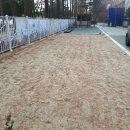 호산초등학교 병설유치원 이미지