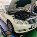 그린카프라자 이미지