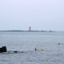 파도향기 이미지