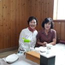 예쁜숲