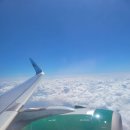 프런티어(Frontier) | 미국 프런티어 항공(Frontier airline) 좌석, 서비스, 수화물 규정, 후기
