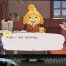 아름드리동물병원 | 26.02_분명 올해 운이 좋다고…