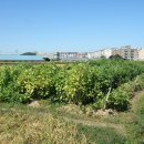 문산공동축사 이미지