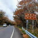 성판악입구 ↔ 숲터널입구 이미지