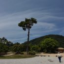 삼강주막 산택연꽃공원 단골식당신관 회룡포마을 뿅뿅다리수박냉커피 이미지