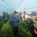 경화농장 이미지