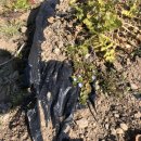 이량뷔페 이미지