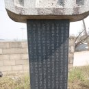 보천2리 Daum카페
