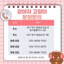 청도펫동물병원 이미지