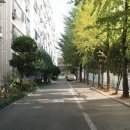 거여현대2차아파트 이미지