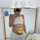 수아상사 | 임신 기록 24~28주 (성심당 임산부 프리패스, 강대 쌍둥이 임당검사, 임산부 역류성식도염 처방, 퀸즈...