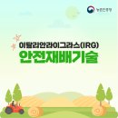 정도안전기술