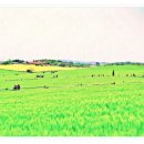 요한한의원 이미지