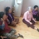 내덕2구경로당 Daum카페