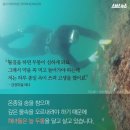 해녀 이미지
