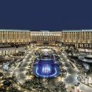 파라다이스 이미지