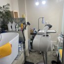 모든애견미용실 이미지