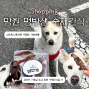 무지개목욕탕 | [방문후기] 동물 좋아하시는 사장님이 만드시는 망원 수제간식 스마트스토어 및 매장 멍반생