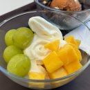 요고프로즌요거트 - 강남구 도곡로21길 15 | 요고프로즌요거트