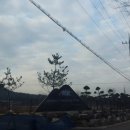 에코새싹유치원 이미지