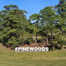 골프 | 필리핀 바기오 3박5일 골프여행 후기