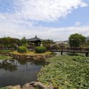 안마을 정자 앞 이미지