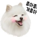 닥터호오 동물병원 이미지