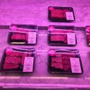 솔트 | 합정 소고기 핑크솔트 리얼후기 맛은 5점서비스는 2점 재방문은 안해요