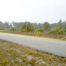 미국 플로리다주 도로접해 집지을수 있는 약 2000 제곱미터 (600평) 땅 (나대지) 1천9백만원 (평당 3만원대) 영상첨부 이미지