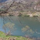 수궁가든 이미지