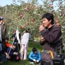 내서중학교 이미지