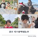 경주팜 | 경주 키즈팜 막내농부 후기! 딸기체험부터 승마까지, 아이랑 하루종일 놀기 좋은곳