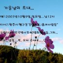 바로~이거야-(1194)-40방 박사모~"원주에서~정모해여?" 이미지