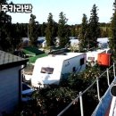 팜핑제주 이미지