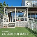 [공지] 안면도 봄꽃축제 기념 태안애견동반 코스추천