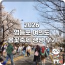 [실시간] 2026 여의도 벚꽃축제 개막! 여의도 봄꽃 축제 먹거리·이벤트 꿀팁 총정리 및 생생 후기🌸