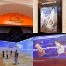 서울 라이트 인 명동 이미지