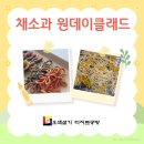 멋내는집 | 바삭함 속에 담긴 전통의 멋을 담은 【채소과】 원데이클래스 후기