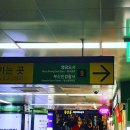 (주)유원투어
