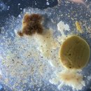 PERFECT GYM 이미지