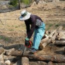 혜원농장 이미지