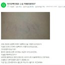 정다운인(IN) 이미지