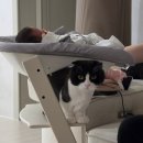 11500-7-61-10 | 일란성 쌍둥이 첫 육아 젖몸살, 순천향대학교병원 외래진료 후기 - 61