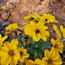 큰돌농장 이미지