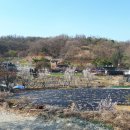 갈미농장 네이버블로그
